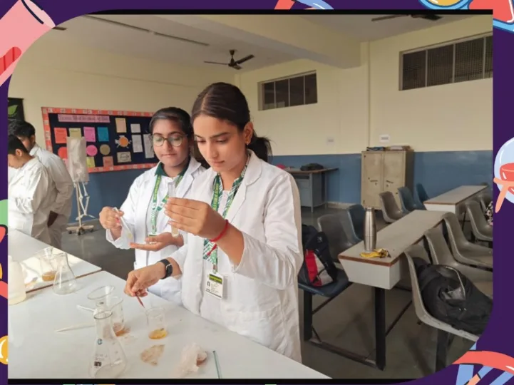 Grade 12 students decoded the blueprint of life with a hands-on DNA isolation experiment
