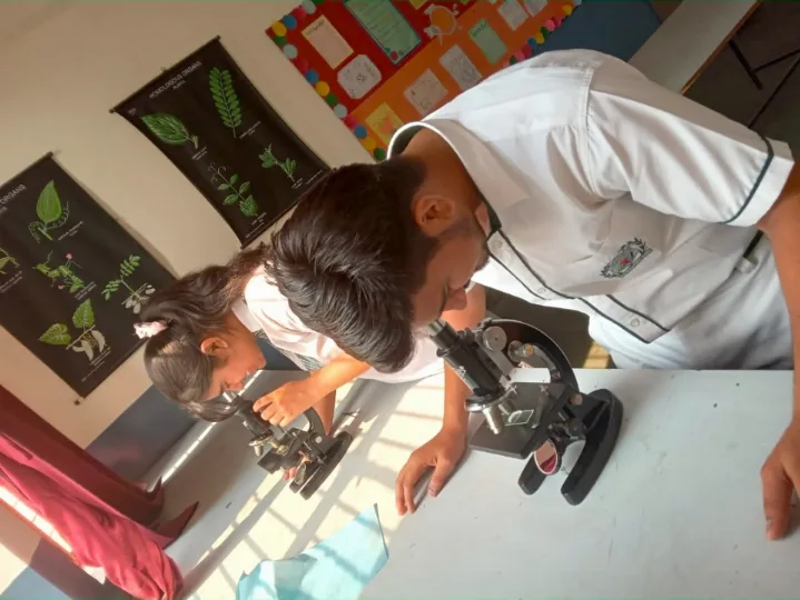 Pollen Germination Experiment: A Glimpse into Plant Reproduction